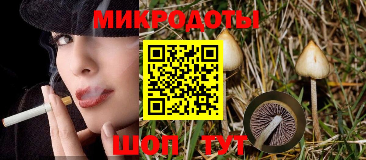 Родники  Псилоцибиновые грибы MAGIC MUSHROOMS  где купить наркоту  Вход с VPN 